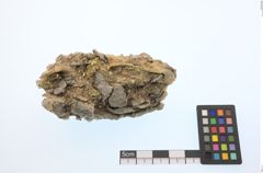 Foto von Gold (NHMW-MIN-Aa2498)